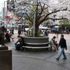 Japonya'nın başkenti Tokyo'da sakin hafta sonu Japonya'nın başkenti Tokyo'da sakin hafta sonu