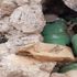 Nusaybin'de çok sayıda patlayıcı ele geçirildi Nusaybin'de çok sayıda patlayıcı ele geçirildi