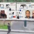 'Stresli' fil otomobil ezdi 'Stresli' fil otomobil ezdi