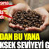 Kahve, 2016'dan bu yana en yüksek seviyeyi gördü Kahve, 2016'dan bu yana en yüksek seviyeyi gördü