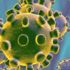 Son dakika: Koronavirüsün (Kovid-19) iki farklı mutasyonu saptandı! Üçüncü ihtimal...