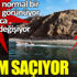Uzaktan normal bir tepe gibi görünüyor yaklaşınca her şey değişiyor. Ölüm saçıyor Uzaktan normal bir tepe gibi görünüyor yaklaşınca her şey değişiyor. Ölüm saçıyor