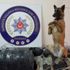 Narkotik köpeği Kiraz, TIR'da 131 kilogram skunk buldu