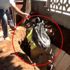 Öldürülen kimsesiz Afgan genç eşyalarıyla gömüldü