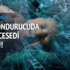 Derin dondurucuda 5 bebek cesedi bulundu