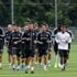 Beşiktaş'ın rakibi Panathinaikos Beşiktaş'ın rakibi Panathinaikos