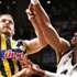 F.Bahçe Ülker THY Euroleague'de final şansını kaybetti