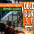 OECD'de 1. dünyada 3. olduk: Türkiye ekonomisi ilk çeyrekte yüzde 7 büyüdü OECD'de 1. dünyada 3. olduk: Türkiye ekonomisi ilk çeyrekte yüzde 7 büyüdü