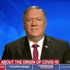 ABD Dışişleri Bakanı Pompeo: Virüsün laboratuvar kaynaklı olduğu konusunda çok büyük kanıt var ABD Dışişleri Bakanı Pompeo: Virüsün laboratuvar kaynaklı olduğu konusunda çok büyük kanıt var