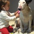 Süper sabırlı köpek! Süper sabırlı köpek!