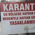 Gölcük'te şarbon karantinası