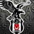 Beşiktaş, Ajdin Hasic’i deneyecek