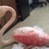 Flamingoyu bacaklarından vurdular