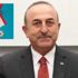 ''Çavuşoğlu Japonya'nın yabancılara verdiği en yüksek nişan ile taltif edildi''