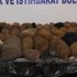 Çorabın içinden çıktı görenler inanamadı Çorabın içinden çıktı görenler inanamadı