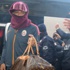 Melo ameliyata alındı! Melo ameliyata alındı!