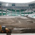 Timsah Arena'da sıra çimlerde