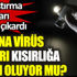 ﻿Korona virüs aşıları kısırlığı neden oluyor mu? İlk araştırma sonuçları ortaya çıkardı
