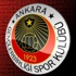 Gençlerbirliği'nde çifte transfer Gençlerbirliği'nde çifte transfer