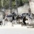 Afganistan'da Taliban saldırısında 7 sivil hayatını kaybetti