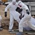 Kongo Demokratik Cumhuriyeti'nde ebola ölümleri artıyor