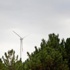 Tüm elektrik ihtiyacını rüzgardan karşılayacak Tüm elektrik ihtiyacını rüzgardan karşılayacak
