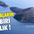 Otomobil Dereye Uçtu: 1 Yaralı, 1 Kayıp