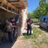 Kayıp hayvanlar drone’la bulundu Kayıp hayvanlar drone’la bulundu