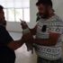 İzmir'de yaralı martının imdadına son anda yetişti İzmir'de yaralı martının imdadına son anda yetişti