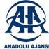 Anadolu Ajansı Devlet'i böyle hortumluyor