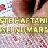 Süper Loto sonuçları (15 Haziran) Süper loto’da rekor!