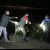 Kaçak avlanan 2 ton 350 kilo inci kefali yakalandı