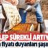 Fiyatı herkesi şaşırtacak cinsten! Talep her geçen gün artıyor! Duymayan varsa...