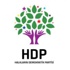 HDP heyetinden Kandil sonrası açıklama HDP heyetinden Kandil sonrası açıklama