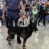 Hong kong da eylemciler havalimanı önünde toplanıyor Hong kong da eylemciler havalimanı önünde toplanıyor