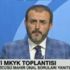 Otomobilin arkasına bağlanan atın görüntüleri yürek sızlattı Otomobilin arkasına bağlanan atın görüntüleri yürek sızlattı