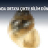 Tuzla Çayı'nda yeni bir canlı türü