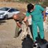 3 ayaklı dünyaya gelen köpek, korumaya alındı