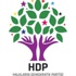 HDP'den 'Yüksekova' açıklaması HDP'den 'Yüksekova' açıklaması
