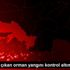 Muğla da çıkan orman yangını kontrol altına alındı Muğla da çıkan orman yangını kontrol altına alındı