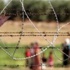 Suruç'ta mayınlı sahada mühimmat ele geçirildi