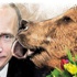Rus dergiden Kadınlar Günü'nde Putin ve ayılı kapak Rus dergiden Kadınlar Günü'nde Putin ve ayılı kapak