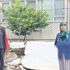 Polisten kaçan duvara vuruyor Polisten kaçan duvara vuruyor