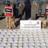 Jandarma ekiplerince Hakkari'de 48 kilogram uyuşturucu yakalandı