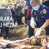 Malezya'da toplu mezarlar bulundu Malezya'da toplu mezarlar bulundu