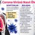 Corona virüsü gençlere bulaşıyor mu? Corona virüsünün gençlere etkisi ne?
