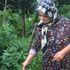 Rize’de vampir kelebeğin ardından patates böceği kabusu Rize’de vampir kelebeğin ardından patates böceği kabusu