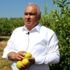 Başkan Tollu: "Limonda ihracat kapıları bir an önce ...