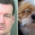ABD'de köpeği ısıran adama 1 yıl hapis