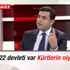 Demirtaş: Arapların 22 devleti var Kürtlerin de olsun Demirtaş: Arapların 22 devleti var Kürtlerin de olsun